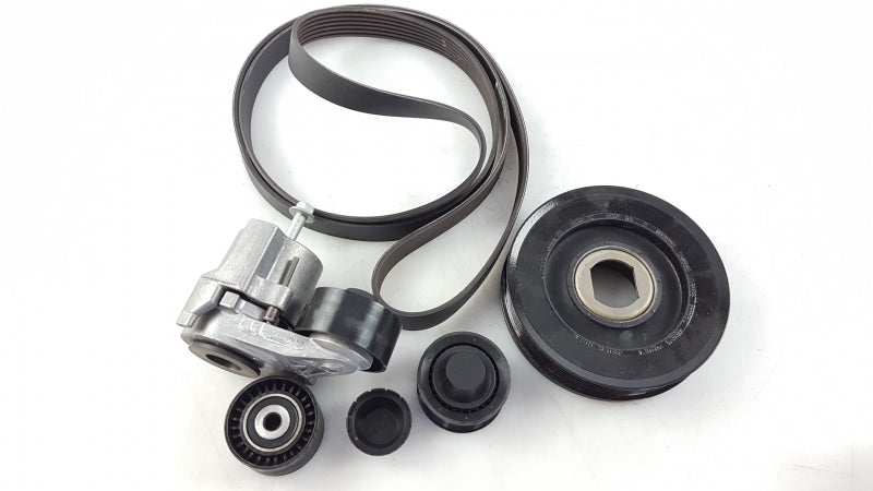 RENAULT V-Belt Kit 7701479031