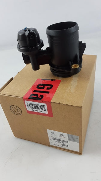 PEUGEOT/CITROEN Throttle Body 1628NT