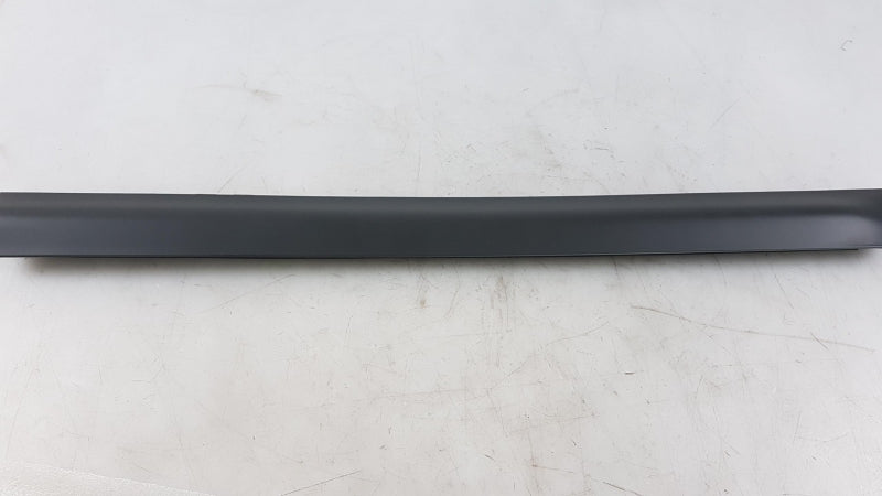 VAG Trim/Protective Strip, Door 4B0853969D7DL