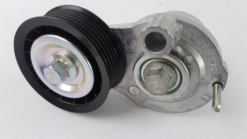 CHEVROLET Belt Tensioner/Pulley 25192084
