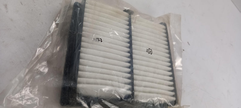 HONDA Air Filter 17220P2PA00