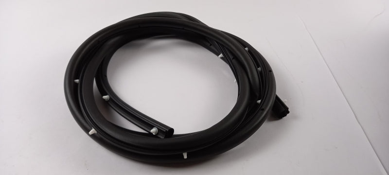 FORD Door Seal 1495865