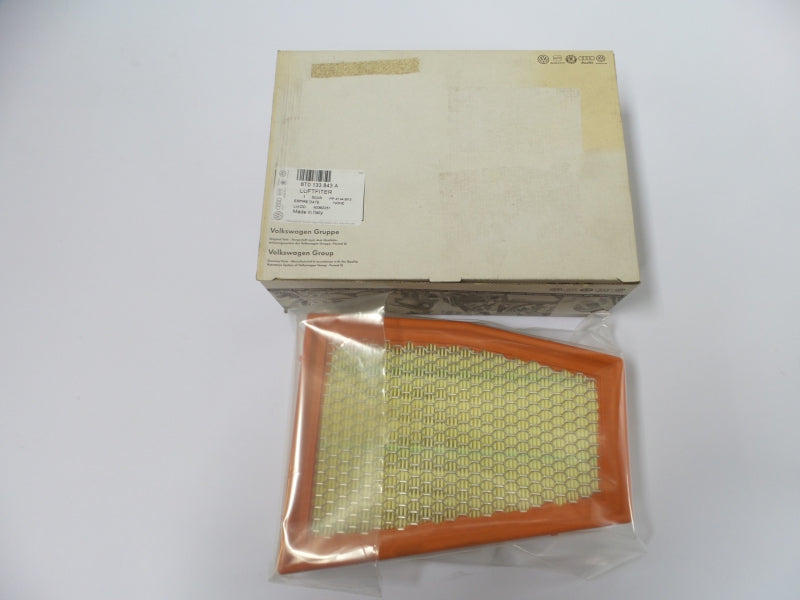 VAG Air Filter 8T0133843A