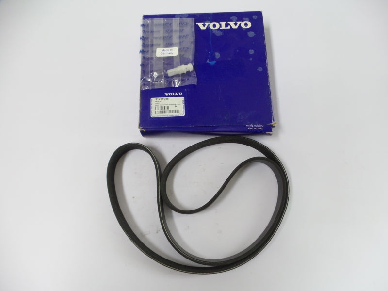 VOLVO V-Belt 31251046