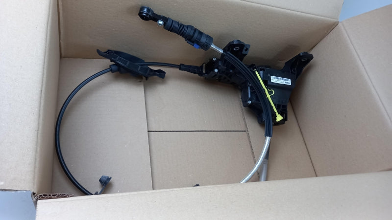 BMW Selector/Gear Lever 25168483098
