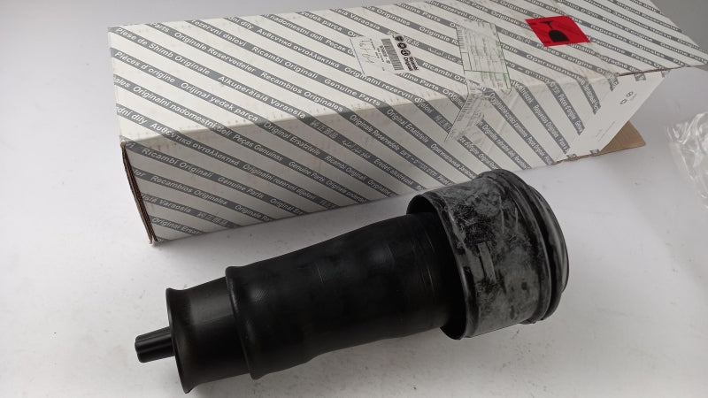 FIAT GROUP Air Spring 9676469280