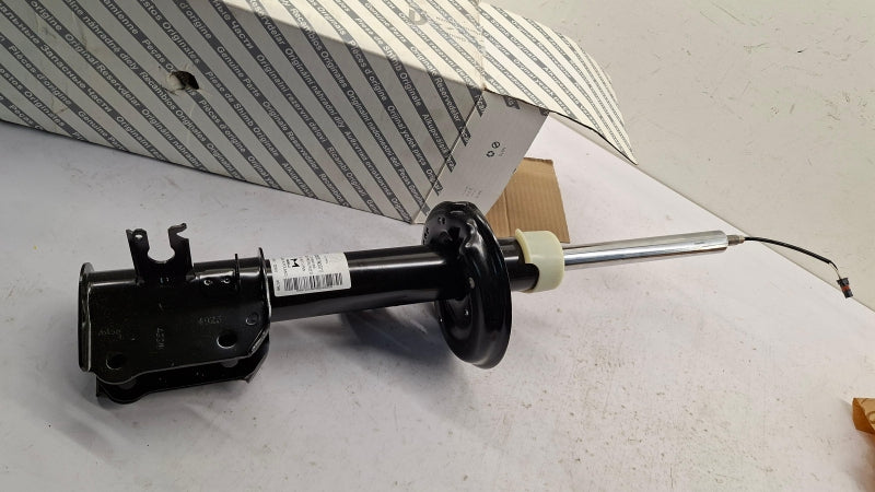FIAT GROUP Shock Absorber 50574037