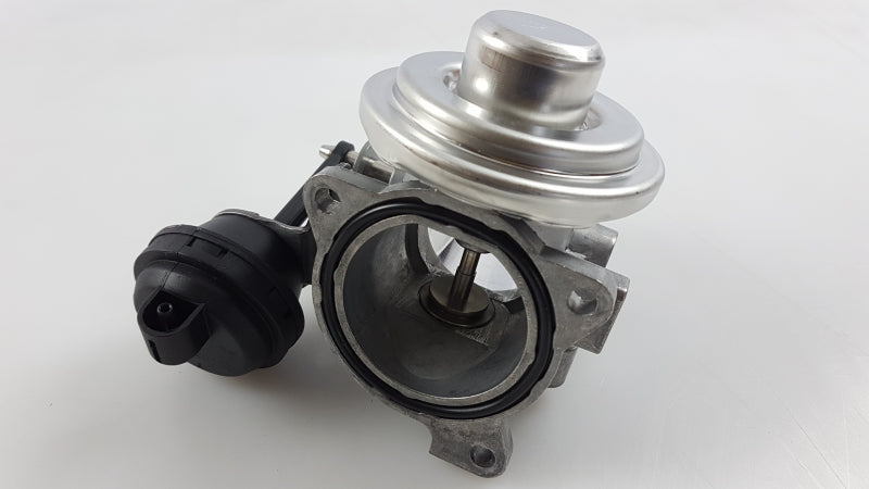 VAG EGR Valve 038131501AQ