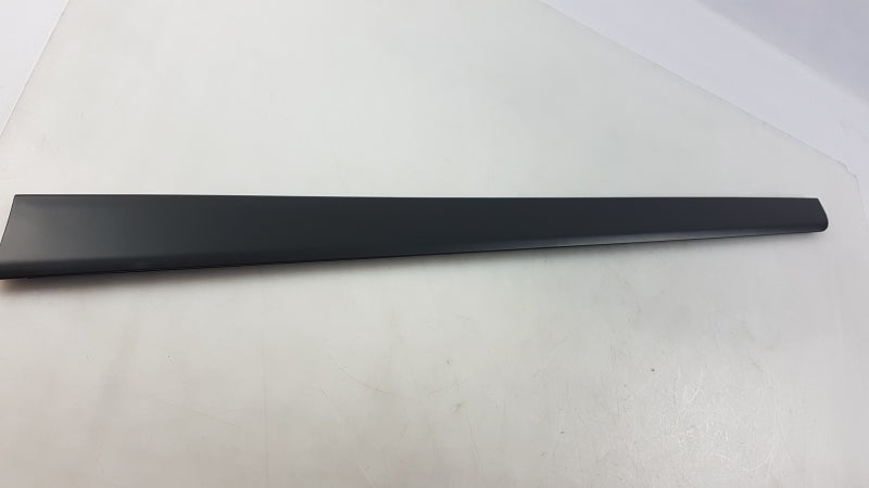 VAG Trim/Protective Strip, Door 8E08539607DL