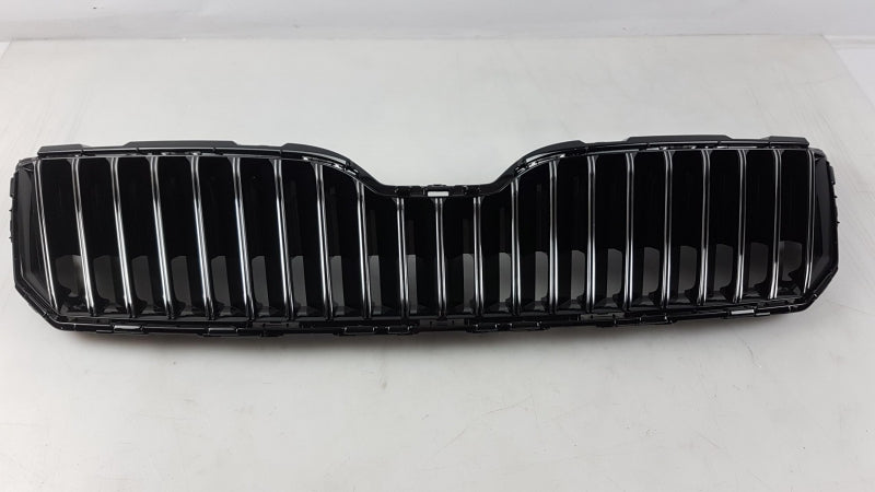 VAG Radiator Grille 3T0853668B9B9