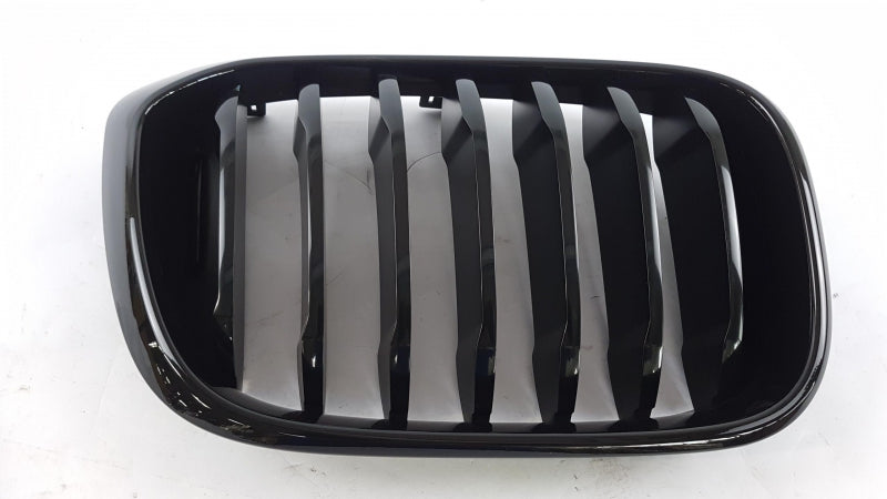 BMW Radiator Grille 51138469960