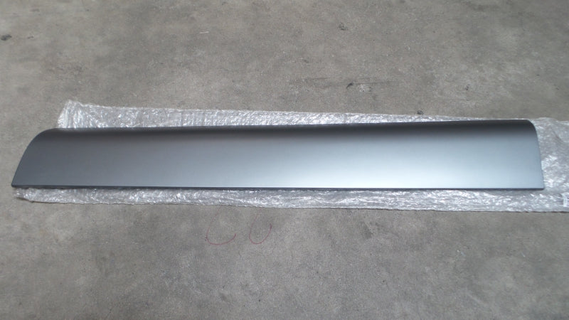VAG Trim/Protective Strip, Door 4L0853960E1RR