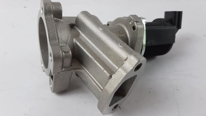 FIAT GROUP EGR Valve 71793409