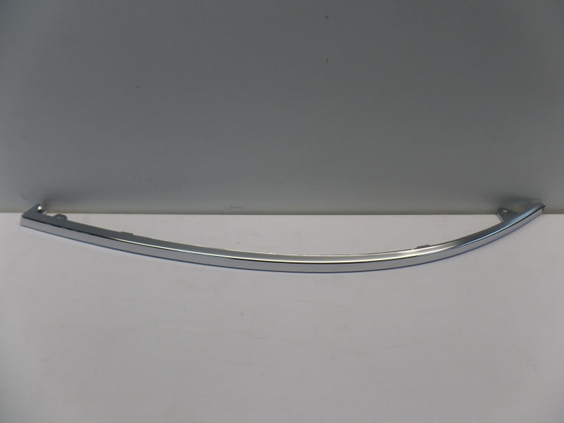 VAG Trim/Protective Strip, Bumper 4B0807173E2ZZ