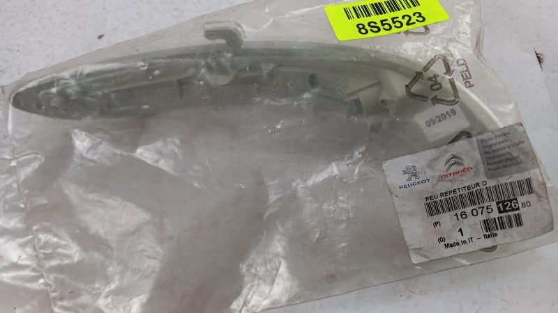 PEUGEOT/CITROEN Light, Outside Mirror 1607512680