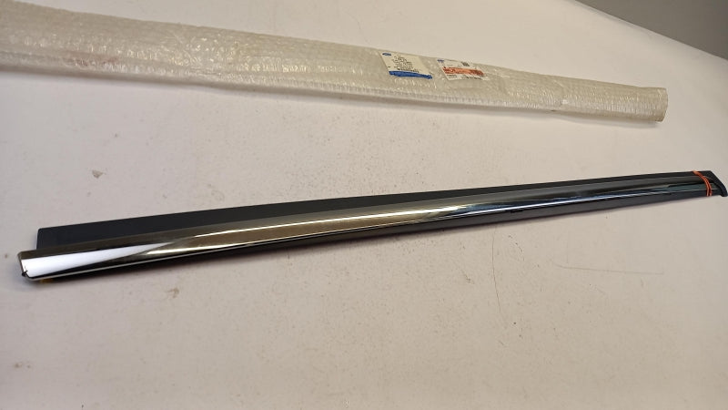 FORD Trim/Protective Strip, Door 1865770