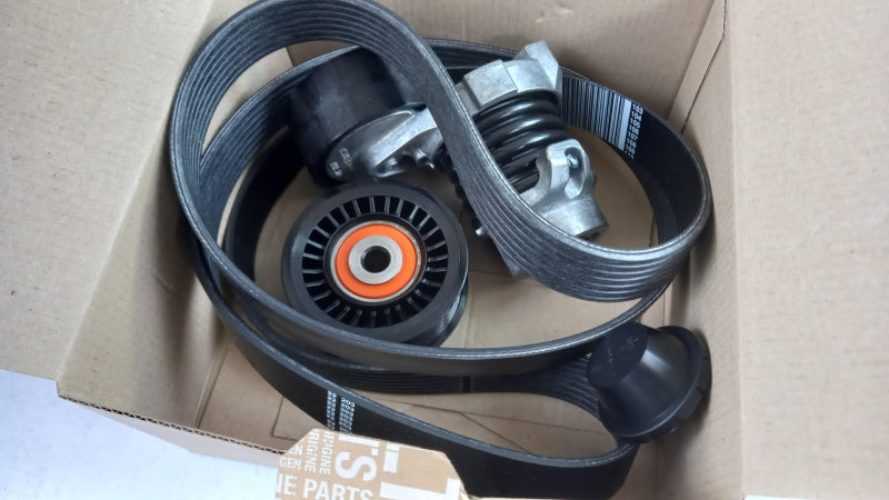 RENAULT V-Belt Kit 117203078R