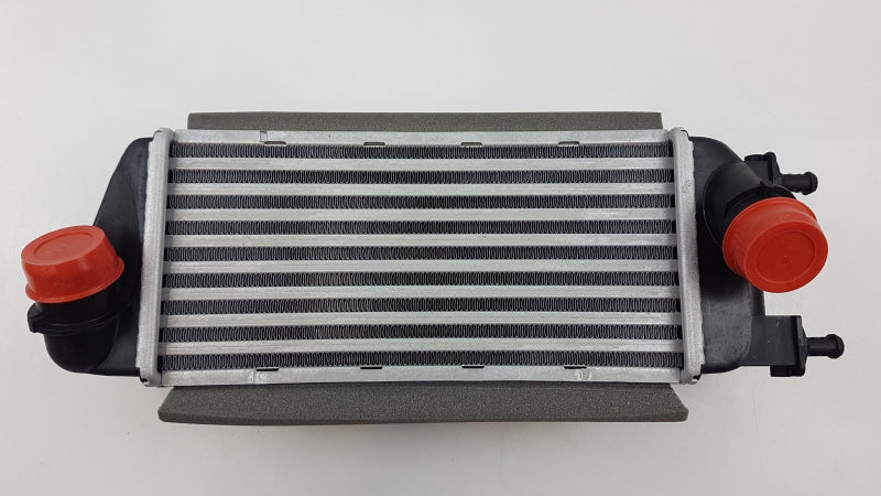 FIAT GROUP Intercooler, Charger 51930049