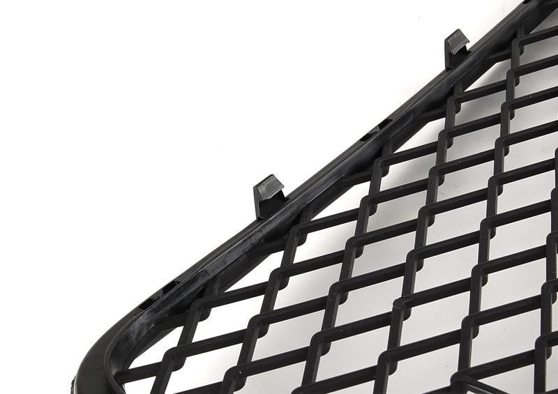 BMW X5 E70 Front Bumper Lower Center Grille Mesh 2007-2010 51117163956 Genuine