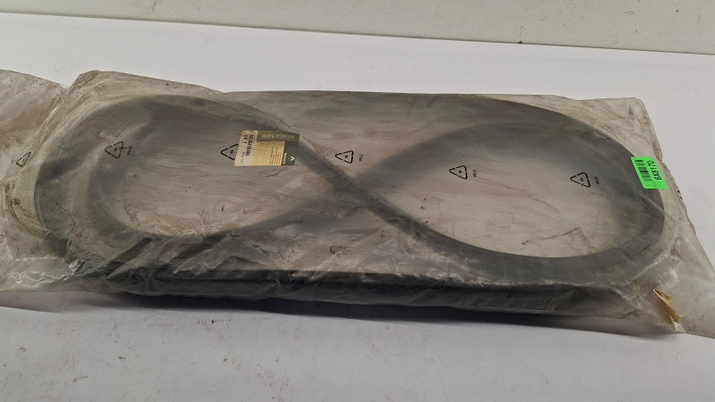 RENAULT Door Seal 8200428869